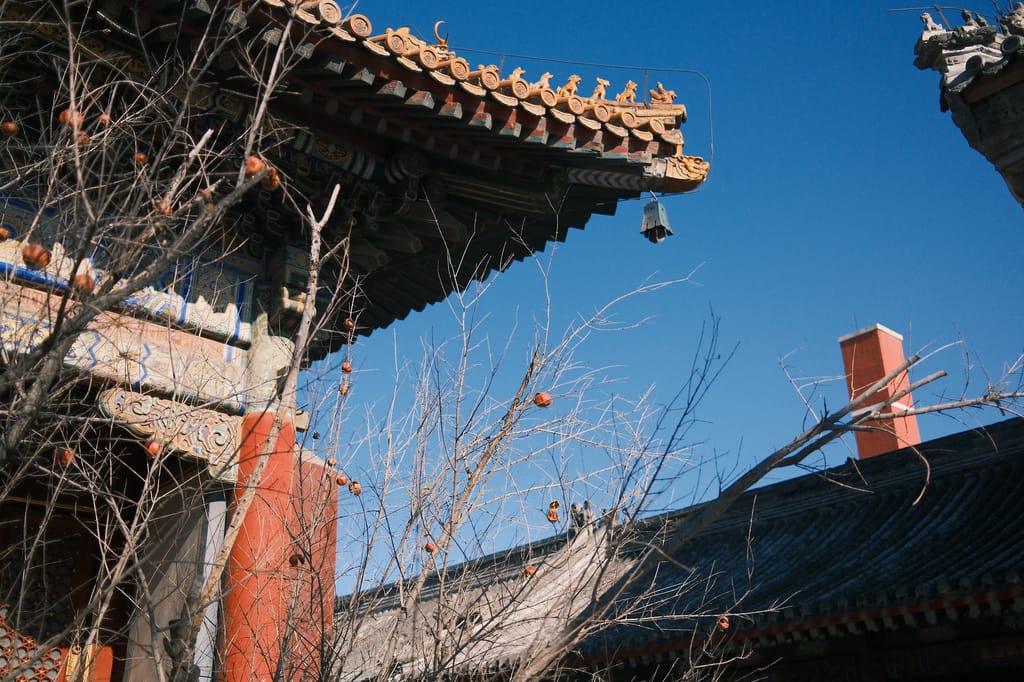 blog_2025-summary_2f2dc9c0-364a-.webp