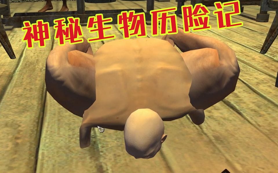 奴隶阿飞的励志人生